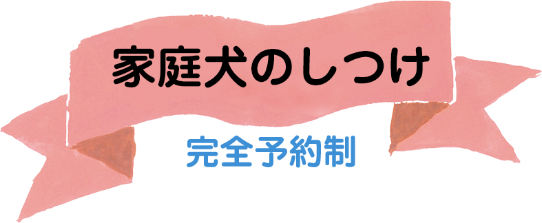 愛犬のしつけ